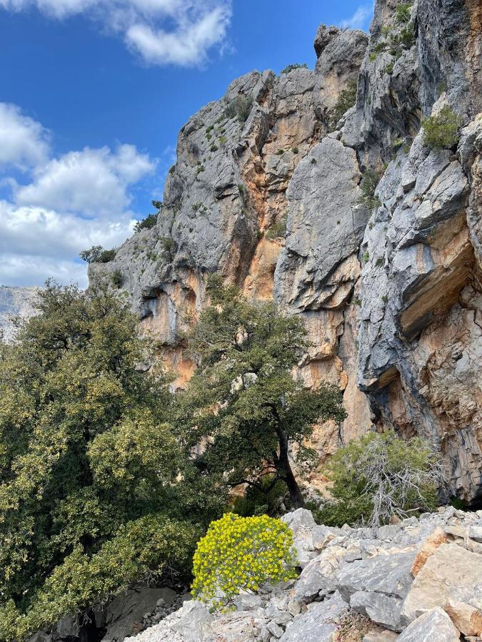 Apartmán Casa Vacanze Sa Piazza Dorgali Exteriér fotografie